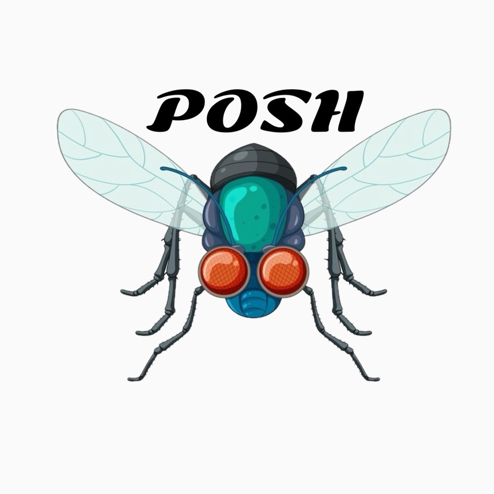 BE POSH FLY!!!! LIVE SHARE SHOW Every Friday and Sunday! Come join the fun. 🤩🎉🎊 - Picture 6 of 6